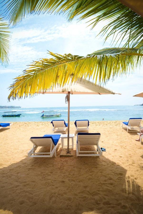 Kingfisher Unawatuna Luaran gambar